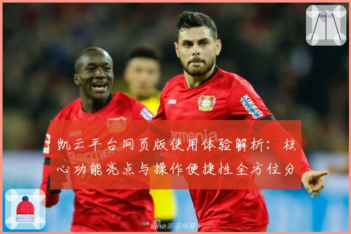 凯云平台网页版使用体验解析：核心功能亮点与操作便捷性全方位分析