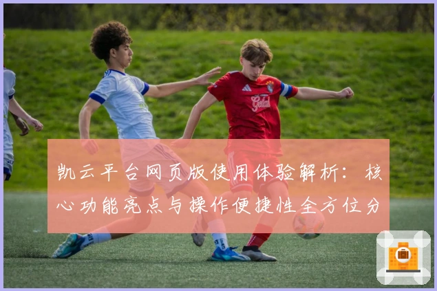 凯云平台网页版使用体验解析：核心功能亮点与操作便捷性全方位分析