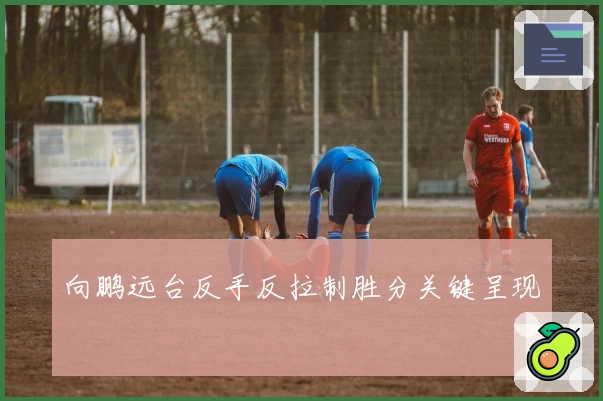 向鹏远台反手反拉制胜分关键呈现