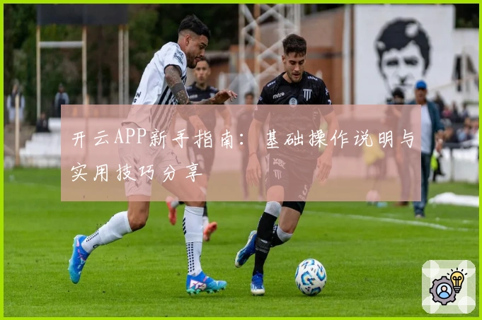 开云APP新手指南：基础操作说明与实用技巧分享