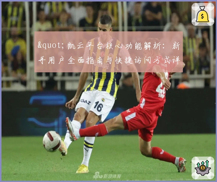 "凯云平台核心功能解析：新手用户全面指南与快捷访问方式详解"