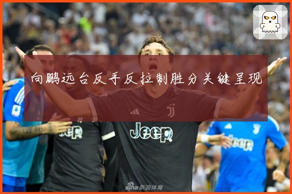 向鹏远台反手反拉制胜分关键呈现