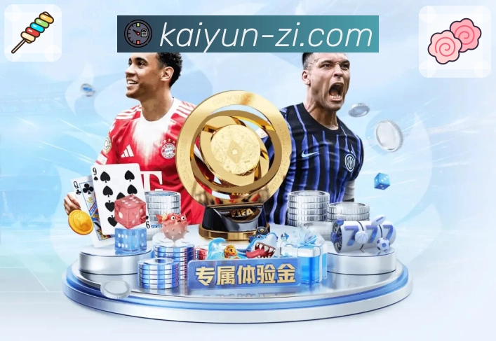 安全登录器